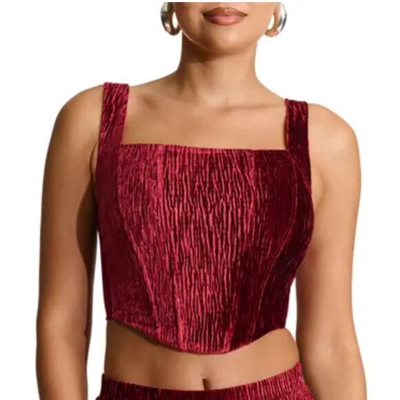 N by Naked Wardrobe Boned Plush Velvet Corset Crop Top in Wine. Size XS NWOT - Picture 1 of 5